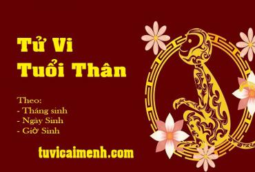 Xem Tử Vi Tuổi Thân Dựa Vào Tháng, Ngày, Giờ Sinh Chính Xác