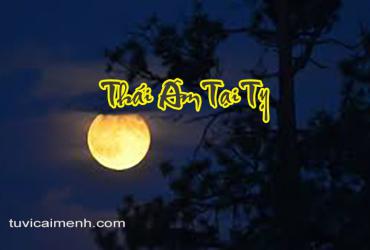 Thái Âm Tại Tỵ - Nhật Nguyệt Phản Bối