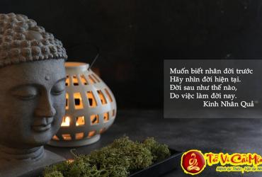 Nhân Quả Dưới Góc Nhìn Của Tử Vi