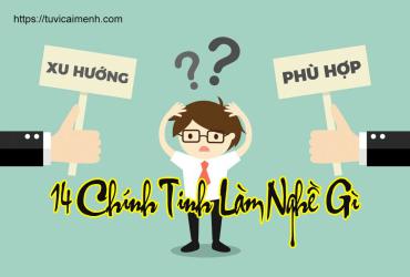 Tiên Lượng 14 Chính Tinh Hợp Với Nghề Nào?