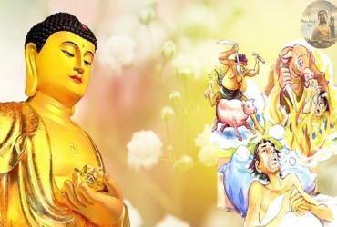 Quả báo nghề mổ heo (lợn) và cảnh tượng lúc cuối đời