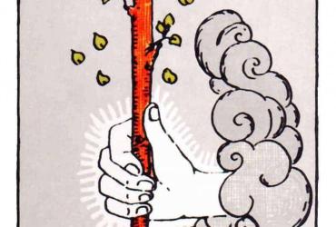Lá Bài Ace of Wands Tarot: Ý Nghĩa Tình Yêu, Sức Khỏe và Công Việc