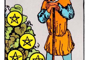 Ý Nghĩa Lá Bài Seven of Pentacles Tarot: Tình Yêu, Sức Khỏe và Công Việc