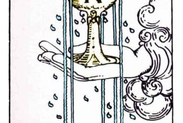 Lá Bài Ace of Cups - Ý Nghĩa Tình Yêu, Sức Khỏe & Công Việc