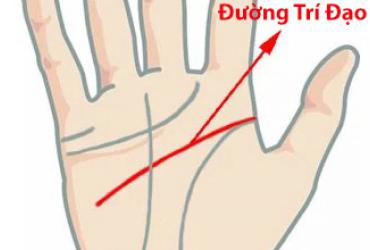 Xem Chỉ Tay Đường Trí Đạo Để Biết Trí Tuệ, Khả Năng Tư Duy