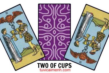 Lá Bài Two of Cups - Ý Nghĩa Tình Yêu, Sức Khỏe và Sự Nghiệp