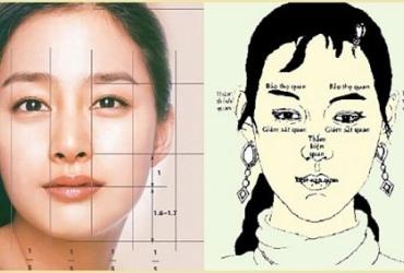 Xem Tướng Mũi Đẹp Biết Vận Mệnh Giàu Sang, Danh Vọng