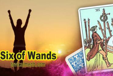 Lá Bài Six of Wands - Ý Nghĩa Tình Yêu, Sức Khỏe & Công Việc