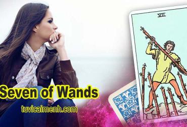 Lá Bài Seven of Wands - Ý Nghĩa Tình Yêu, Sức Khỏe Và Công Việc