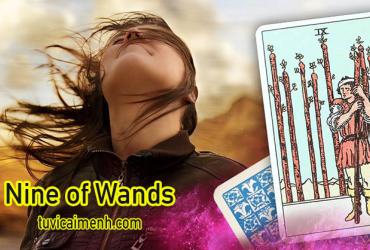 Lá Bài Nine of Wands - Ý Nghĩa Tình Yêu, Sức Khỏe Và Công Việc