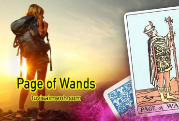 Lá Bài Page of Wands - Ý Nghĩa Tình Yêu, Sức Khỏe và Công Việc