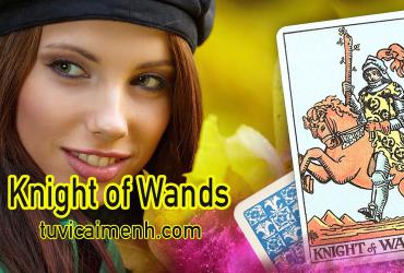 Lá Bài Knight of Wands - Ý Nghĩa Tình Yêu, Sức Khỏe Và Công Việc