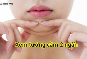 Xem Tướng Người 2 Cằm (Cằm Hai Ngấn) - Công Danh, Tiền Bạc và Tình Duyên
