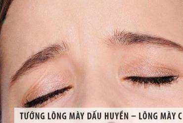 Xem Tướng Nam Nữ Có Lông Mày Chữ Bát, Lông Mày Dấu Huyền