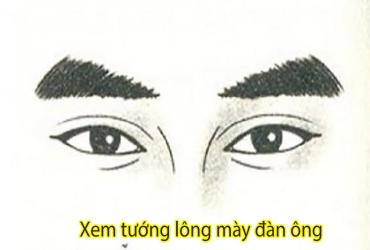 Xem Tướng Lông Mày Đàn Ông Biết Ngay Giàu Nghèo