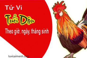 Xem Tử Vi Tuổi Dậu Dựa Vào Giờ, Ngày, Tháng Sinh Chính Xác