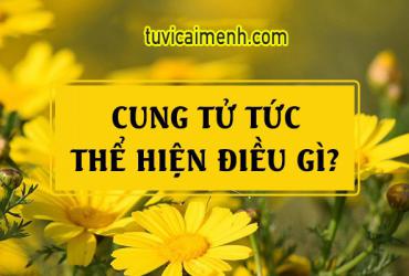 Luận Về Cung Tử Tức Trong Khoa Tử Vi
