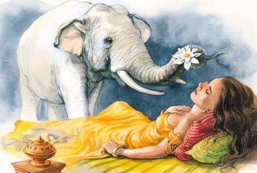 Nằm Mơ Thấy Voi Có Ý Nghĩa Tượng Trưng Và Tâm Linh Gì?