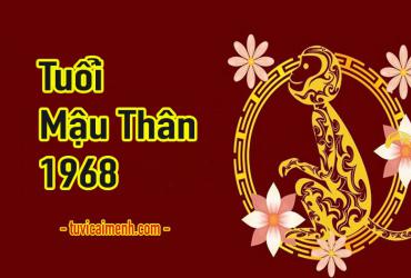 Tuổi Mậu Thân 1968 Mệnh Gì, Hợp Tuổi Nào, Hướng Nào, Màu Sắc Gì?