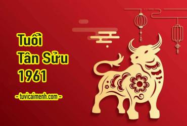 Tuổi Tân Sửu 1961 Mệnh Gì, Hợp Tuổi Nào, Hướng Nào, Màu Sắc Gì?