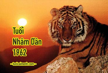 Tuổi Nhâm Dần 1962 Mệnh Gì, Hợp Tuổi Nào, Hướng Nào, Màu Sắc Gì?