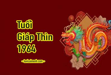Tuổi Giáp Thìn 1964 Mệnh Gì, Hợp Tuổi Nào, Hướng Nào, Màu Sắc Gì?