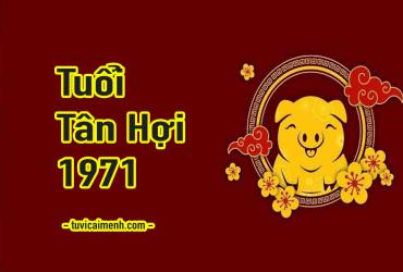 Tuổi Tân Hợi 1971 Mệnh Gì, Hợp Tuổi Nào, Hướng Nào, Màu Sắc Gì?
