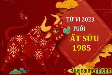 Tử vi tuổi Ất Sửu 1985 nữ mạng năm 2023