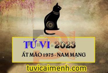 Tử vi tuổi Ất Mão 1975 Nam mạng năm 2023