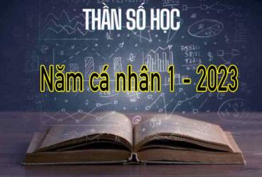 Năm Cá Nhân Số 1 - Năm 2023: Cơ Hội Mới