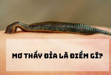 Mơ Thấy Con Đỉa Báo Hiệu Điềm Lành Hay Dữ?