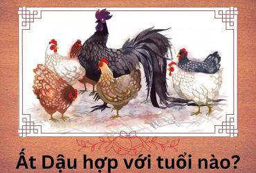 Tuổi Ất Dậu hợp với tuổi nào trong kết hôn, kinh doanh?