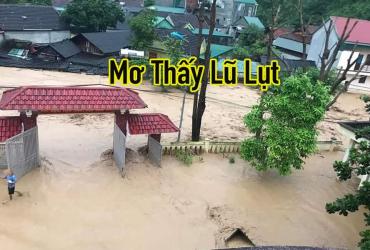 Mơ Thấy Lũ Lụt Là Điềm Báo Tâm Linh Gì? Giải Mã Chi Tiết