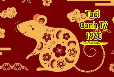 Tuổi Canh Tý 1960 Mệnh Gì, Hợp Tuổi Nào, Hướng Nào, Màu Sắc Gì?