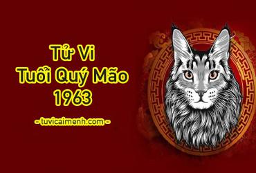 Tử Vi Tuổi Quý Mão 1963 mệnh gì, hợp màu gì, hướng nào tốt?