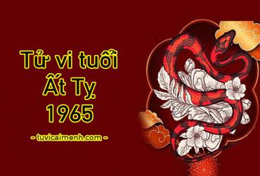Tuổi Ất Tỵ 1965 Mệnh Gì, Hợp Tuổi Nào, Hướng Nào, Màu Sắc Gì?