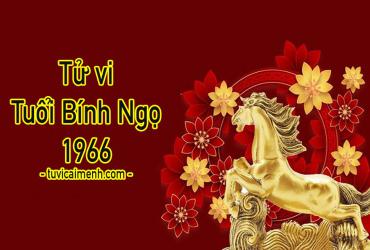 Tuổi Bính Ngọ 1966 Mệnh Gì, Hợp Tuổi Nào, Hướng Nào, Màu Sắc Gì?