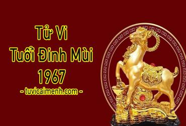 Tử Vi Tuổi Đinh Mùi 1967: Mệnh Gì, Hướng Nào, Màu Sắc Gì?