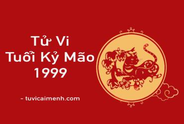 Tử Vi Tuổi Kỷ Mão 1999: Mệnh Gì, Hướng Nào, Màu Sắc Và Cung Gì?
