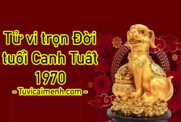 Tử Vi Tuổi Canh Tuất 1970: Mệnh Gì, Hướng Hợp, Màu Sắc  Và Cung Gì?
