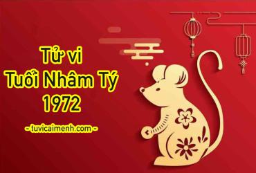 Tử Vi Tuổi Nhâm Tý 1972: Mệnh Gì, Màu Sắc, Hướng Nhà Và Cung Gì?