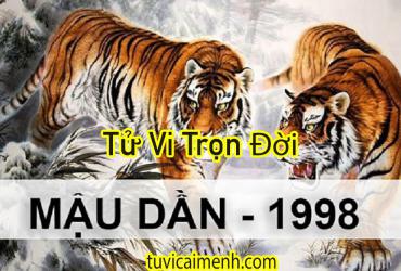 Tử Vi Tuổi Mậu Dần 1998: Mệnh Gì, Màu Sắc Hợp, Hướng Nhà và Cung Gì?