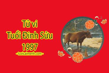 Tử Vi Tuổi Đinh Sửu 1997: Mệnh Gì, Màu Sắc Gì, Hướng Nào và Cung Gì?