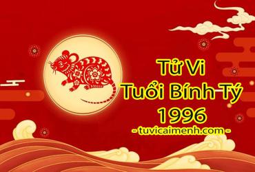 Tử Vi Tuổi Bính Tý 1996: Mệnh Gì, Hướng Nào, Cung Gì và Hợp Màu Sắc Nào.