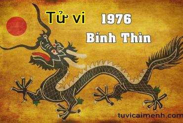 Tử Vi Tuổi Bính Thìn 1976: Mệnh Gì, Màu Sắc Gì, Hướng Nào và Cung Gì?