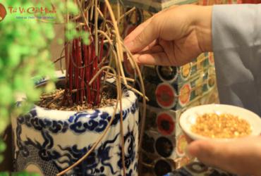 Bí Quyết Xem Ngày Tốt Rút Chân Nhang Giúp Tài Lộc Tăng Vọt