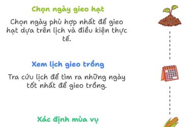 Bí quyết xem ngày tốt để xác định thời vụ gieo trồng chính xác, hiệu quả