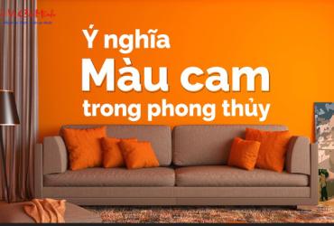 Khám Phá Ý Nghĩa Màu Cam Trong Phong Thủy: Nguồn Cảm Hứng Và Sự Thịnh Vượng