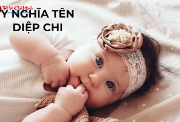 Ý Nghĩa Tên Diệp Chi - Vẻ Đẹp Thanh Tú Và Tính Cách Dịu Dàng