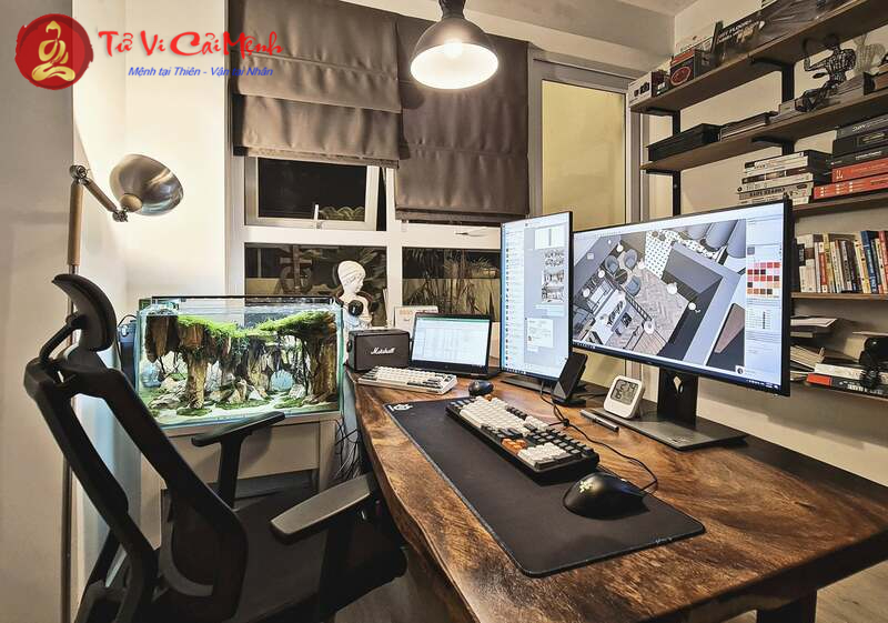 Khám Phá Bí Mật Cây Phong Thủy Hút Tài Lộc Cho Người Tuổi Dần